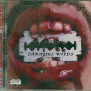 damaging-words-500-441-0.jpg