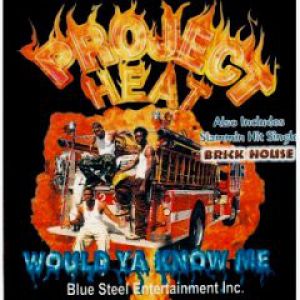 would-ya-know-me-brick-house-240-240-0.jpg