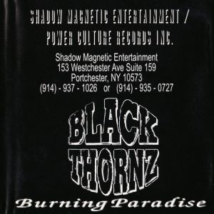 burning-paradise-600-589-6.jpg