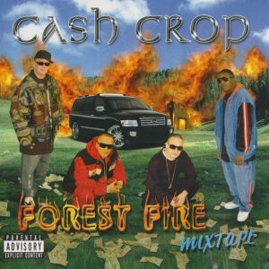 forest-fire-mixtape-600-589-0.jpg