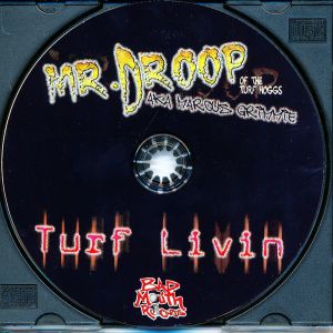 turf-livin-600-601-2.jpg