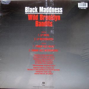 wild-brooklyn-bandits-600-599-1.jpg