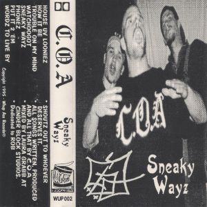 sneaky-wayz-600-596-0.jpg
