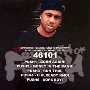 Push Montana the rebirth of fresh NYC inlay.jpg