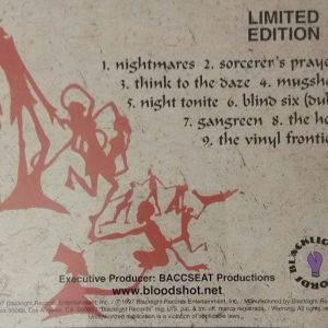 the-vinyl-frontier-600-514-2.jpg