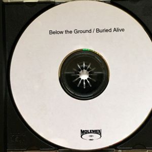 below-the-ground-buried-alive-600-536-3.jpg