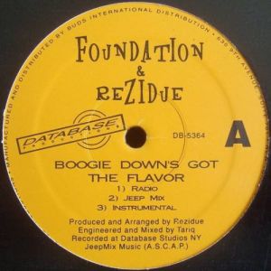 boogie-downs-got-the-flavor-500-500-0.jpg