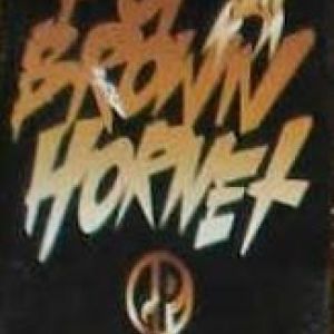 Pop da Brown Hornet EP sneak preview NYC tape.jpg