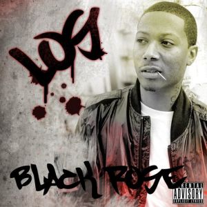 black-rose-31990-500-500-0.jpg