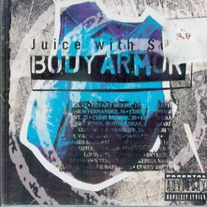 body-armor-387-339-0.jpg