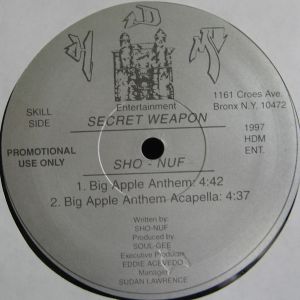 no-nice-timez-who-wanna-taste-big-apple-anthem-600-600-0.jpg