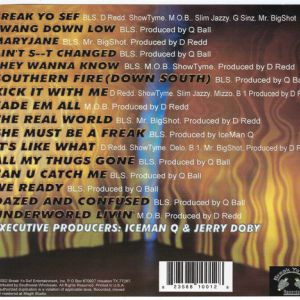 southern-fire-600-468-3.jpg