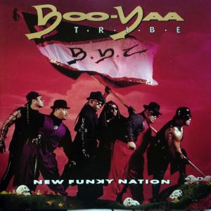 new-funky-nation-600-599-0.jpg
