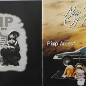 pimp-arrest-592-297-1-c531bcb7.jpg