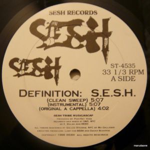 definition-sesh-480-476-0.jpg