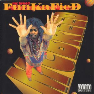 funkafied-600-595-0.jpg