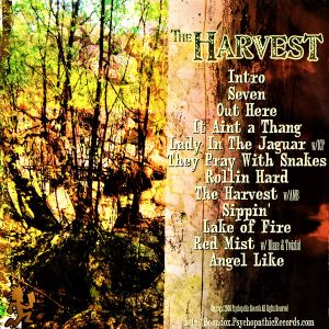 the-harvest-600-600-4.jpg