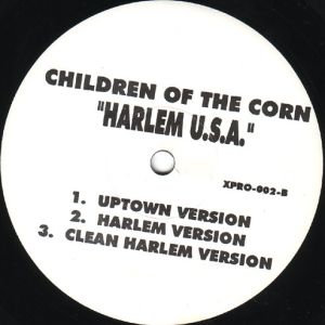 american-dream-harlem-u-s-a-493-498-1.jpg