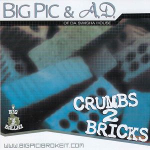 crumbs-to-bricks-600-596-0.jpg