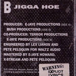 just-a-jigga-jigga-hoe-500-794-1.jpg