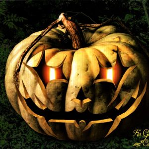 punkinhed-600-471-9.jpg