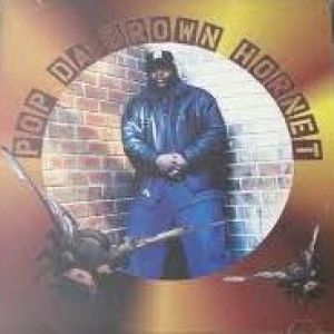 Pop Da Brown Hornet Black on Black Crime NYC front.jpg