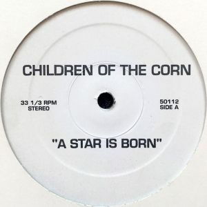 a-star-is-born-30366-600-596-0.jpg
