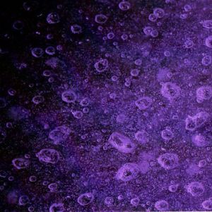 dopamine-567-442-2.jpg