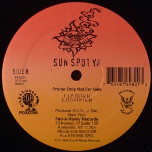 its-your-life-sun-spot-ya-497-490-0.jpg