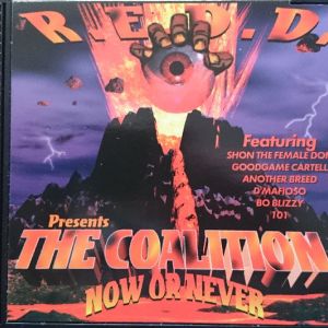 presents-the-coalition-now-or-never-600-533-0.jpg