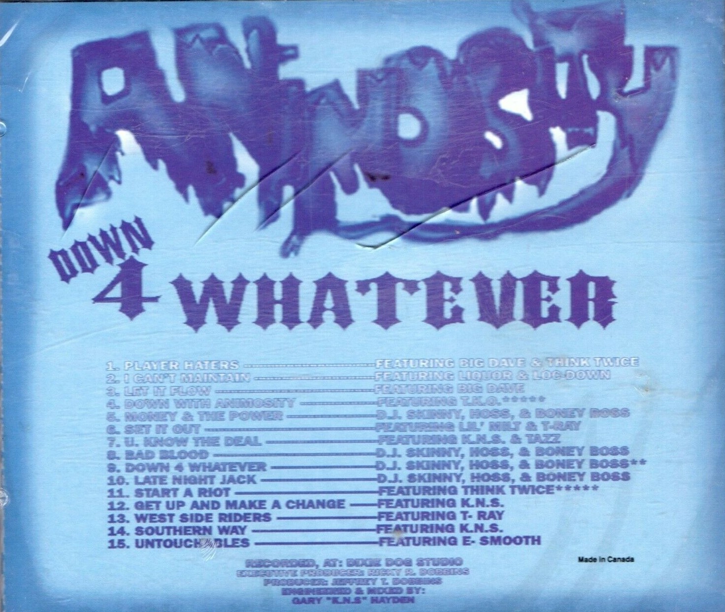 Down 4 Whatever by Animosity (CD 1997 Destiny X Records) in 