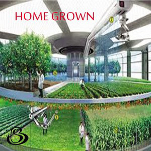 home-grown-27236-300-300-0.jpg