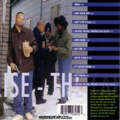 The Rise The Fall The Rise by Tai Pan (CD 1995 Educated Records 